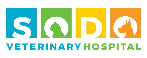 Tenant Spotlight: Vet Relocates
